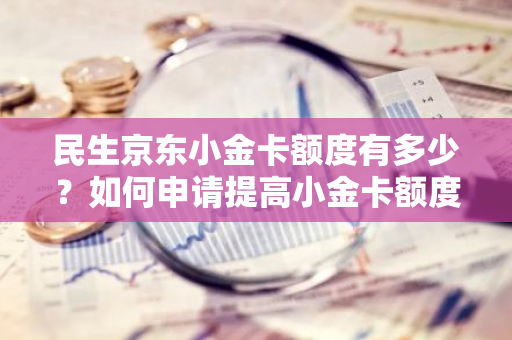 民生京东小金卡额度有多少？如何申请提高小金卡额度？