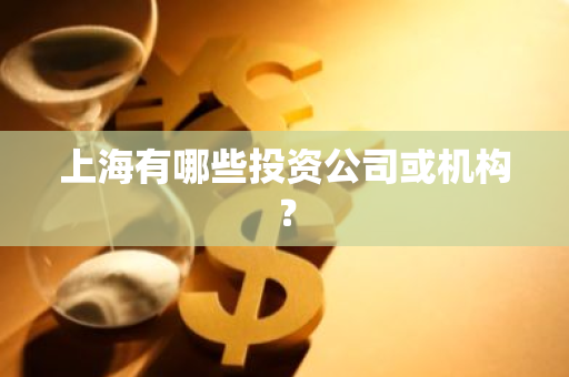 上海有哪些投资公司或机构？