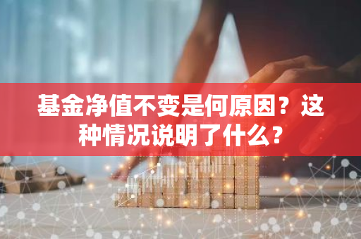 基金净值不变是何原因？这种情况说明了什么？