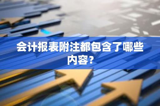 会计报表附注都包含了哪些内容？