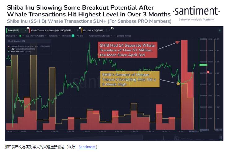 BONE永久上市加拿大 Shib预测价格飙升？