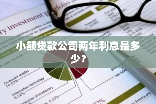 小额贷款公司两年利息是多少？