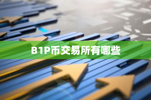 B1P币交易所有哪些