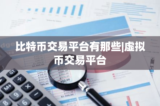 比特币交易平台有那些|虚拟币交易平台