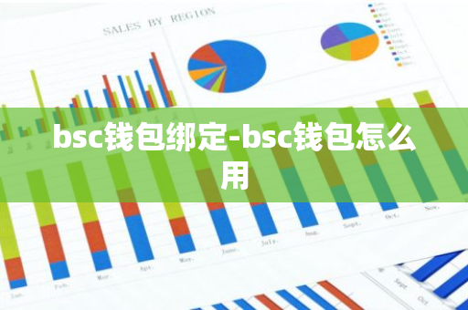 bsc钱包绑定-bsc钱包怎么用