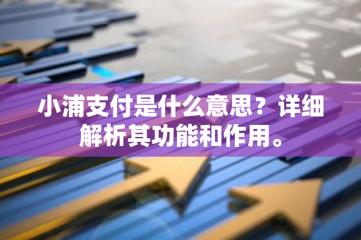 小浦支付是什么意思？详细解析其功能和作用。