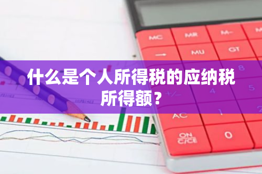 什么是个人所得税的应纳税所得额？