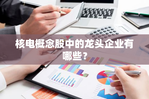 核电概念股中的龙头企业有哪些？