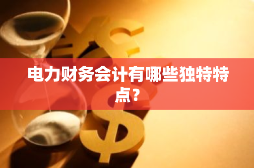 电力财务会计有哪些独特特点？