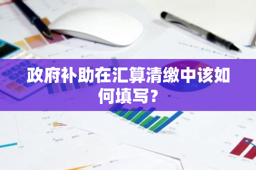 政府补助在汇算清缴中该如何填写？