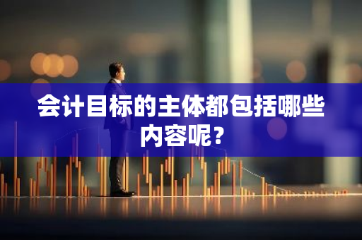 会计目标的主体都包括哪些内容呢？