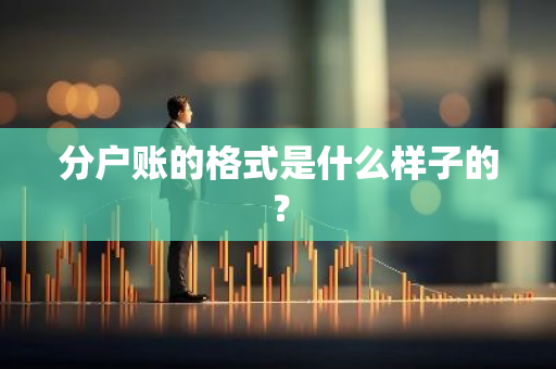 分户账的格式是什么样子的？