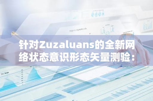 针对Zuzaluans的全新网络状态意识形态矢量测验：探索与解析其深度网络观念