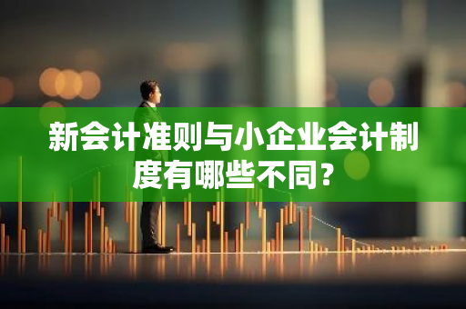 新会计准则与小企业会计制度有哪些不同？