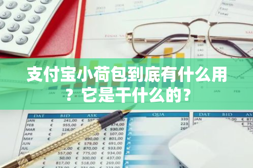 支付宝小荷包到底有什么用？它是干什么的？