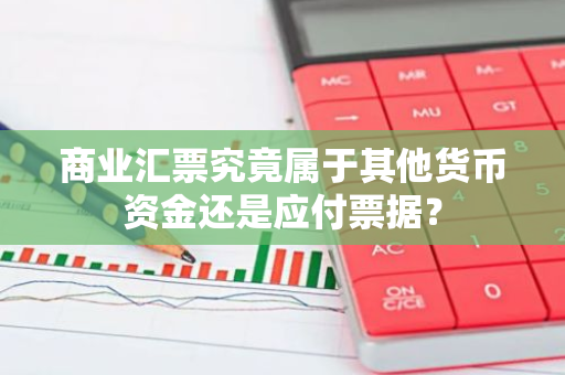 商业汇票究竟属于其他货币资金还是应付票据？