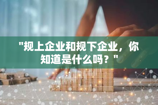 "规上企业和规下企业，你知道是什么吗？"