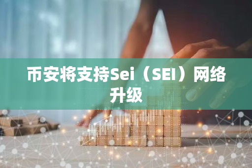 币安将支持Sei（SEI）网络升级