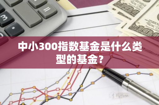 中小300指数基金是什么类型的基金？