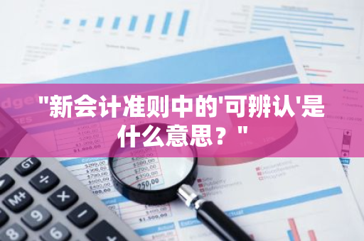 "新会计准则中的'可辨认'是什么意思？"