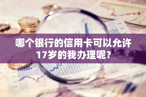 哪个银行的信用卡可以允许17岁的我办理呢？