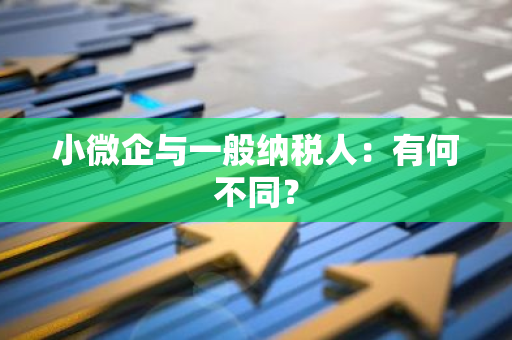 小微企与一般纳税人：有何不同？