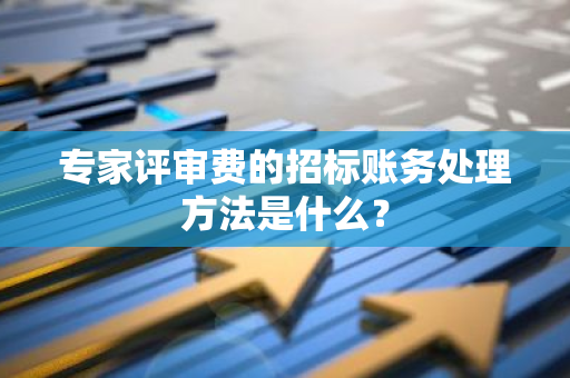 专家评审费的招标账务处理方法是什么？