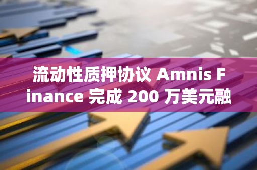 流动性质押协议 Amnis Finance 完成 200 万美元融资，OKX Ventures 与 Borderless Capital 领投