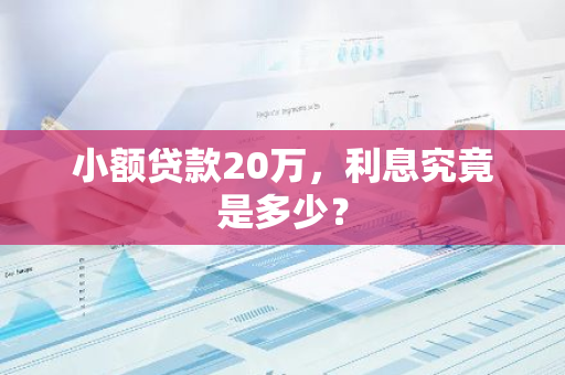 小额贷款20万，利息究竟是多少？