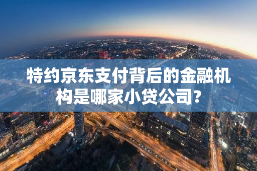 特约京东支付背后的金融机构是哪家小贷公司？