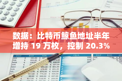 数据：比特币鲸鱼地址半年增持 19 万枚，控制 20.3% 流通量