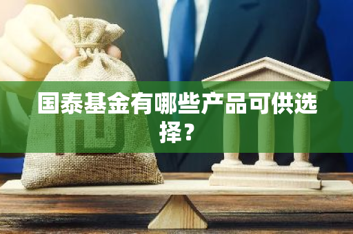 国泰基金有哪些产品可供选择？