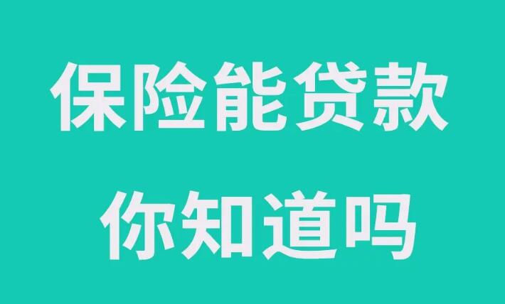 什么保单能够贷款？保单贷款特点及办理流程