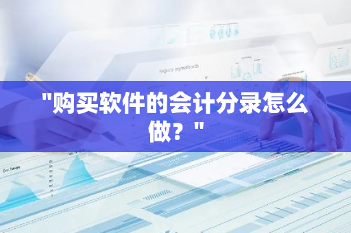 "购买软件的会计分录怎么做？"