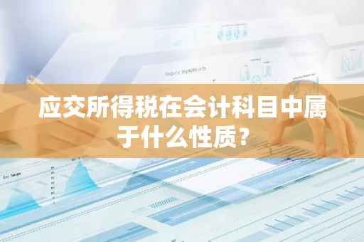 应交所得税在会计科目中属于什么性质？