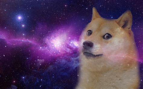 2024 年 4 月狗狗币 (DOGE) 能涨到多高？