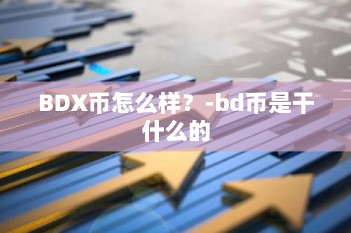 BDX币怎么样？-bd币是干什么的