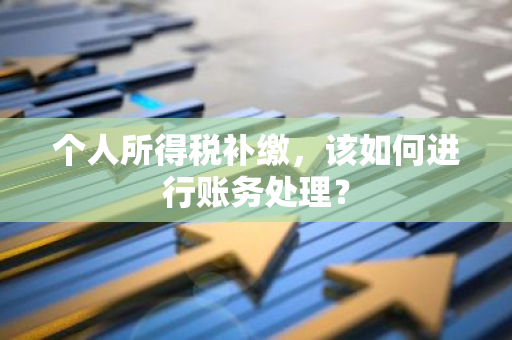 个人所得税补缴，该如何进行账务处理？