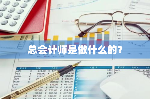 总会计师是做什么的？