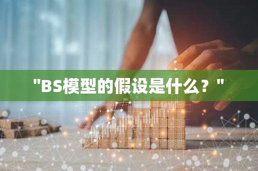 "BS模型的假设是什么？"