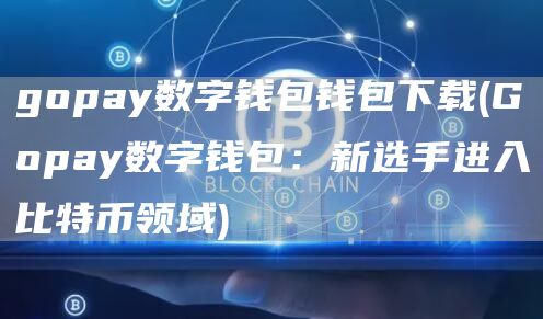 gopay数字钱包钱包下载 - Gopay数字钱包：新选手进入比特币领域