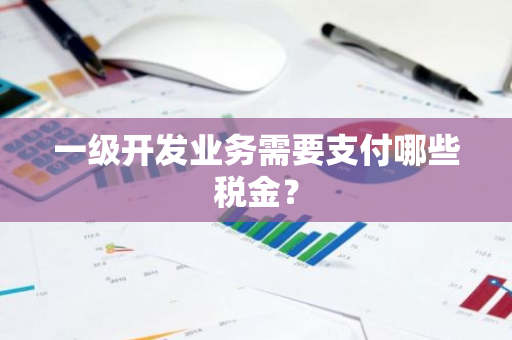 一级开发业务需要支付哪些税金？