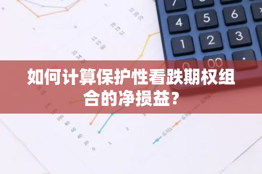 如何计算保护性看跌期权组合的净损益？