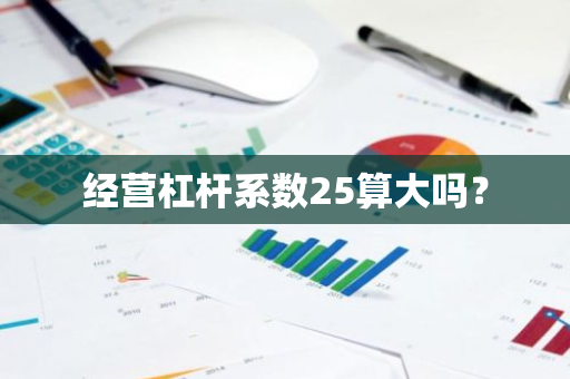 经营杠杆系数25算大吗？