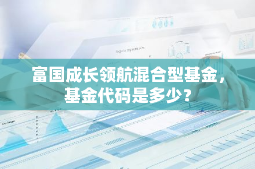 富国成长领航混合型基金，基金代码是多少？