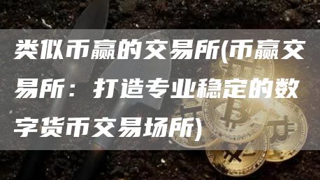 类似币赢的交易所 - 币赢交易所：打造专业稳定的数字货币交易场所