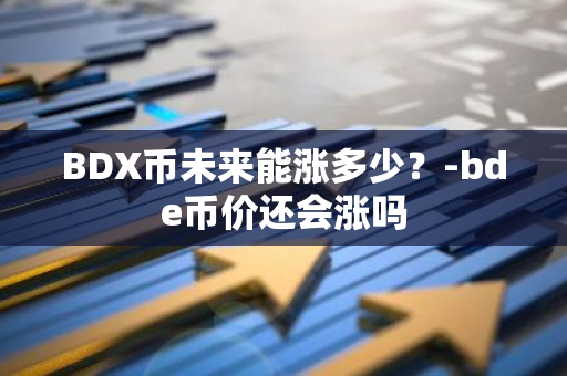 BDX币未来能涨多少？-bde币价还会涨吗