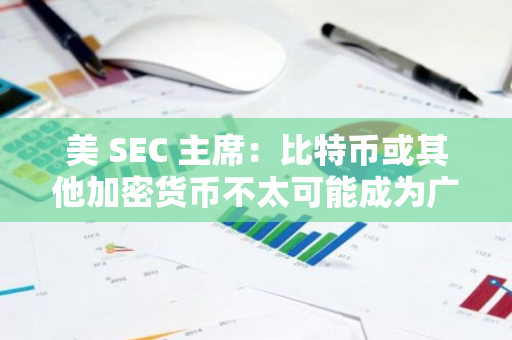 美 SEC 主席：比特币或其他加密货币不太可能成为广泛使用的支付手段