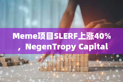 Meme项目SLERF上涨40% ，NegenTropy Capital合伙人宣布将捐款100万美元推动Slerf项目CTO