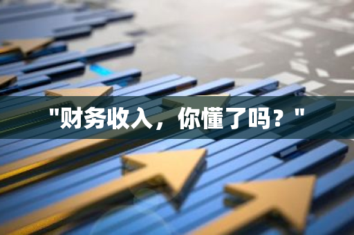 "财务收入，你懂了吗？"